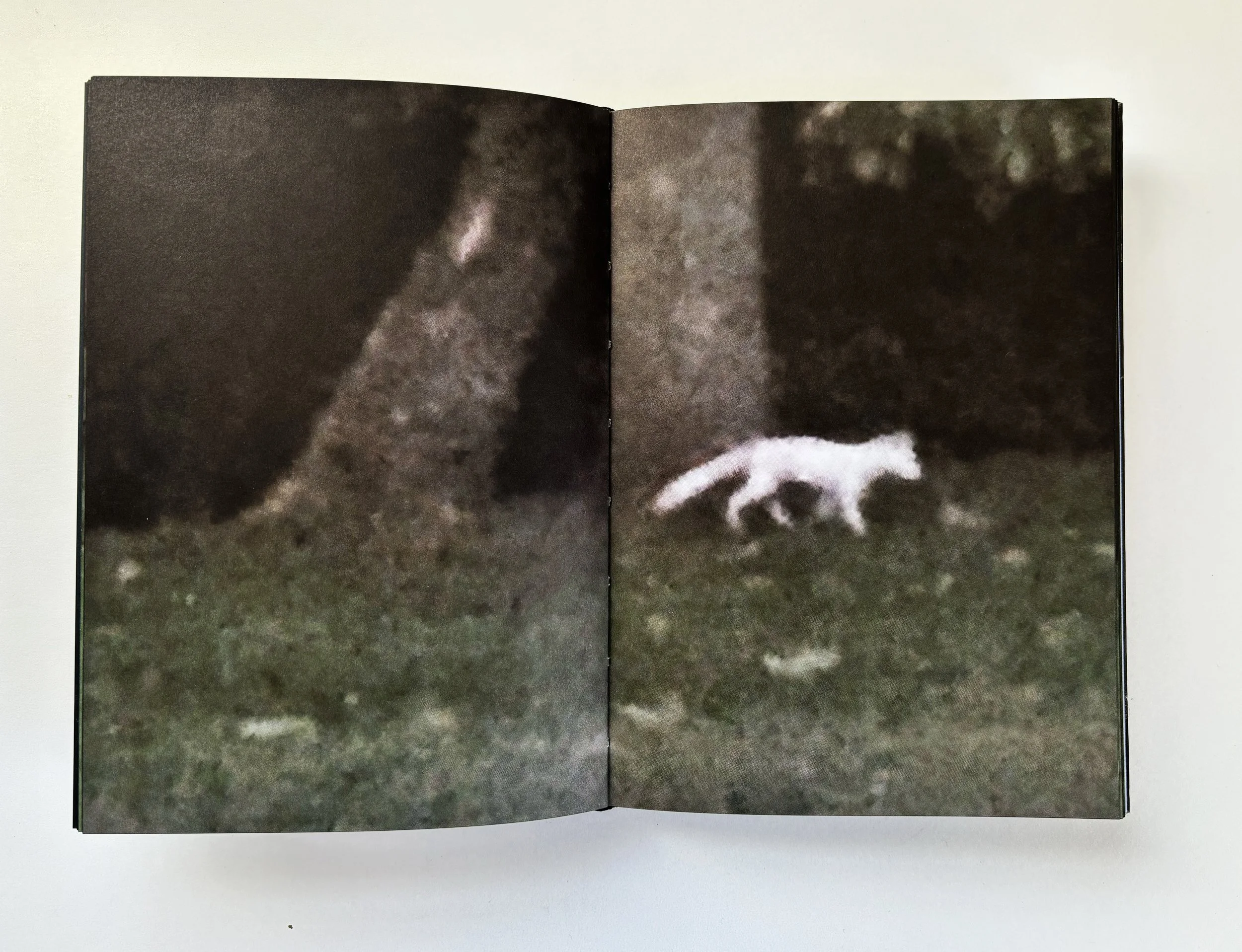 Mark Alice Durant : Summer of the White Fox, and After — Saint